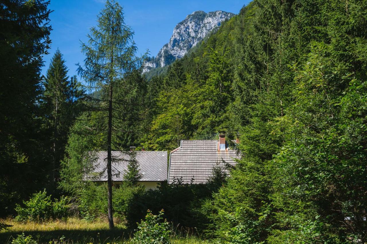 Villa Pocitniska Hisa Radovna Zgornja Radovna Exterior foto